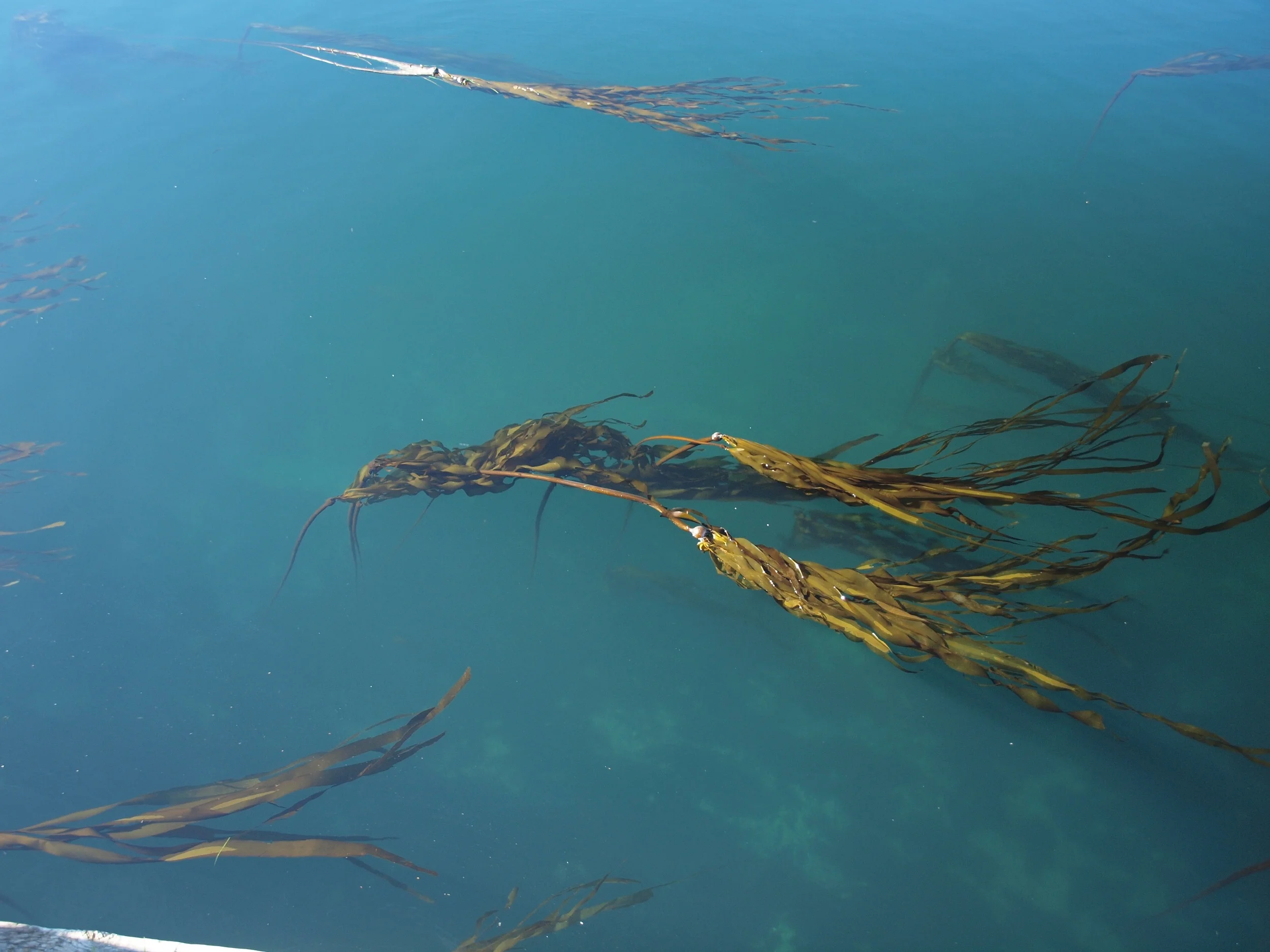 Beautiful waters