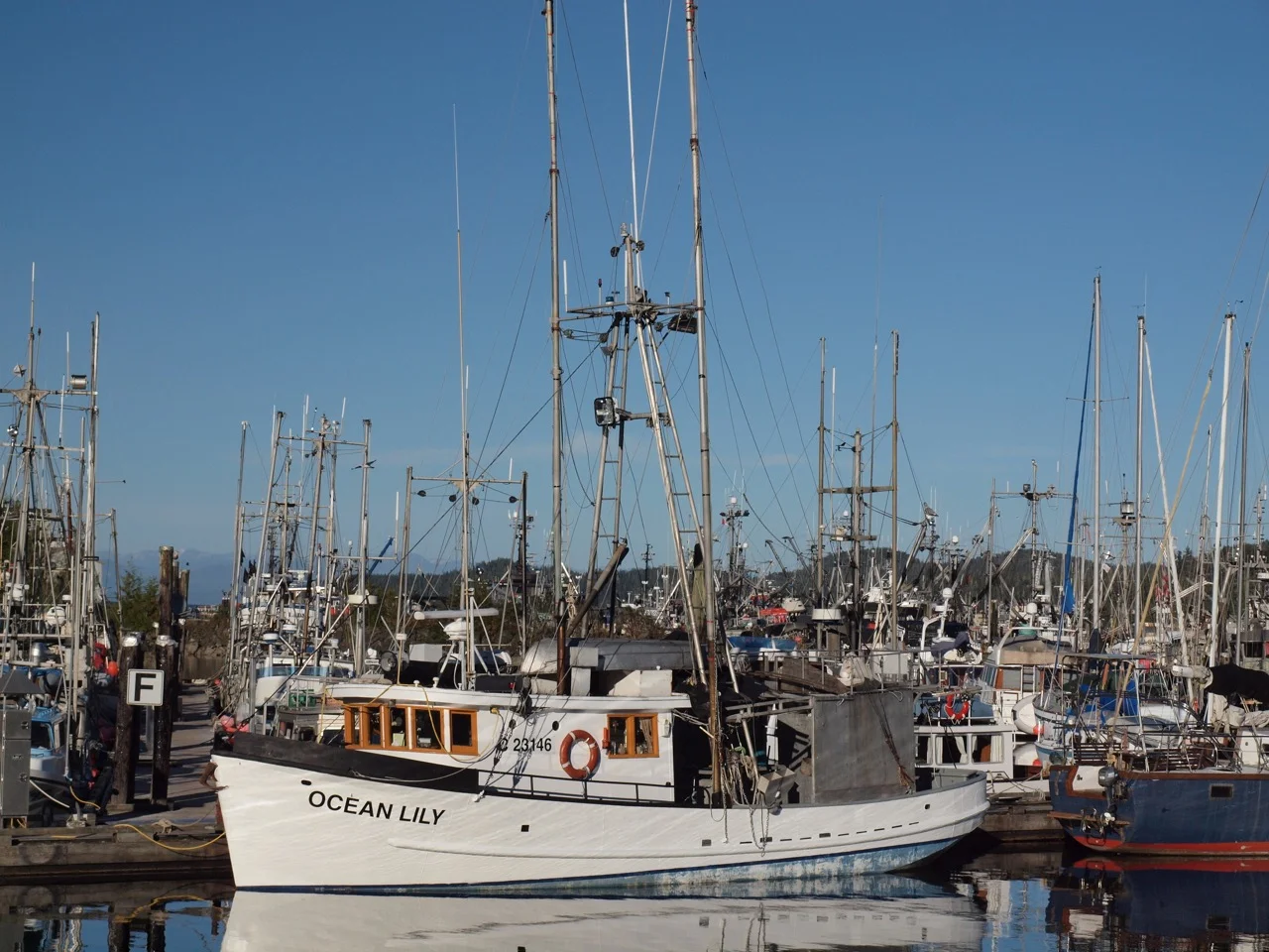 Maze of masts at the Quarterdeck