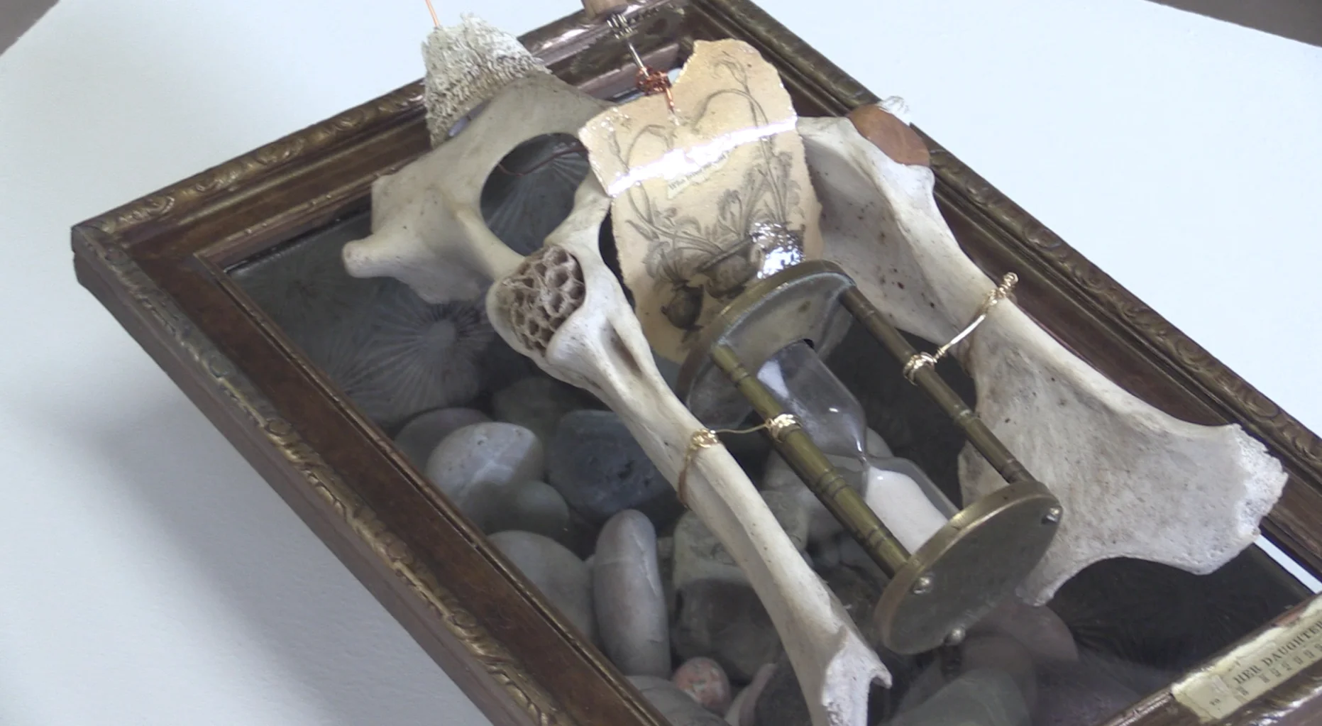 Eclectic collections