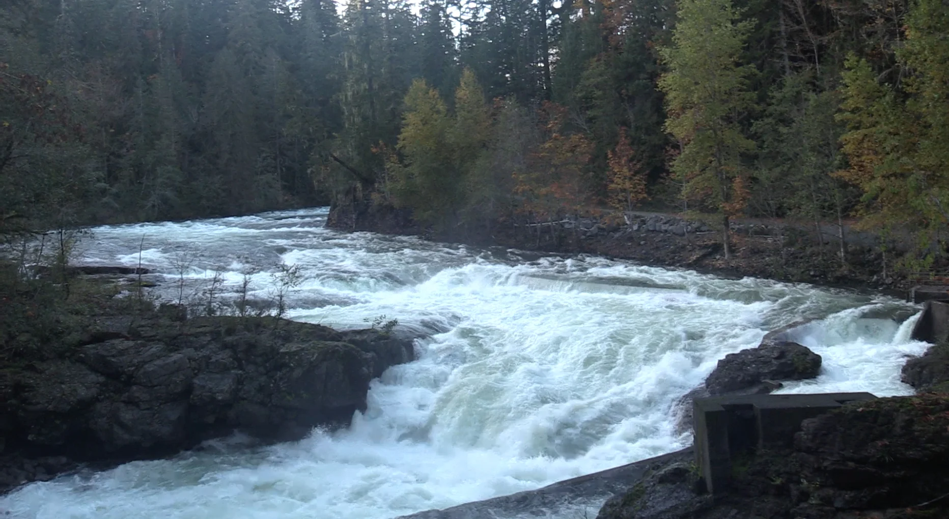 Stamp Falls