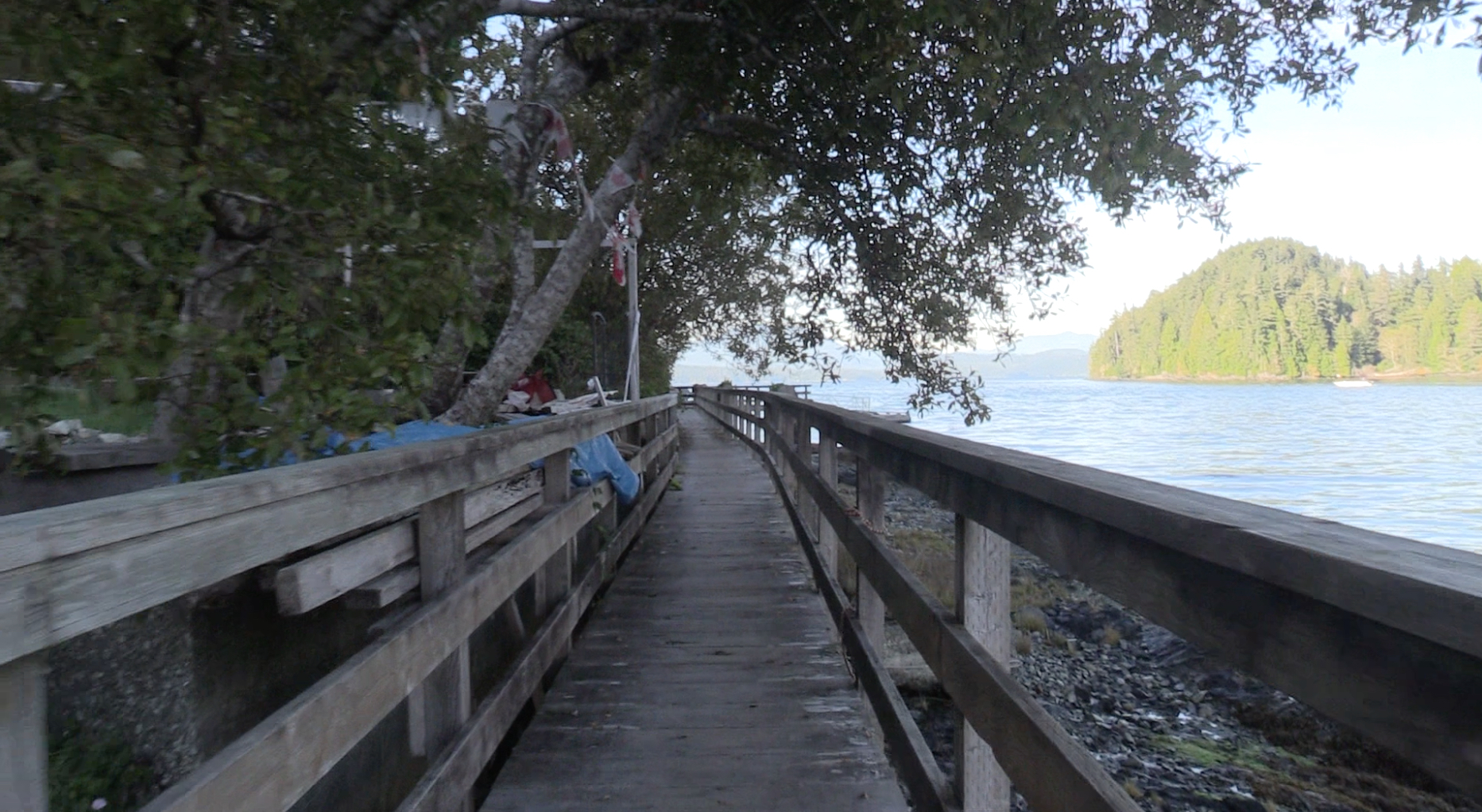 Coolest boardwalk in Canada
