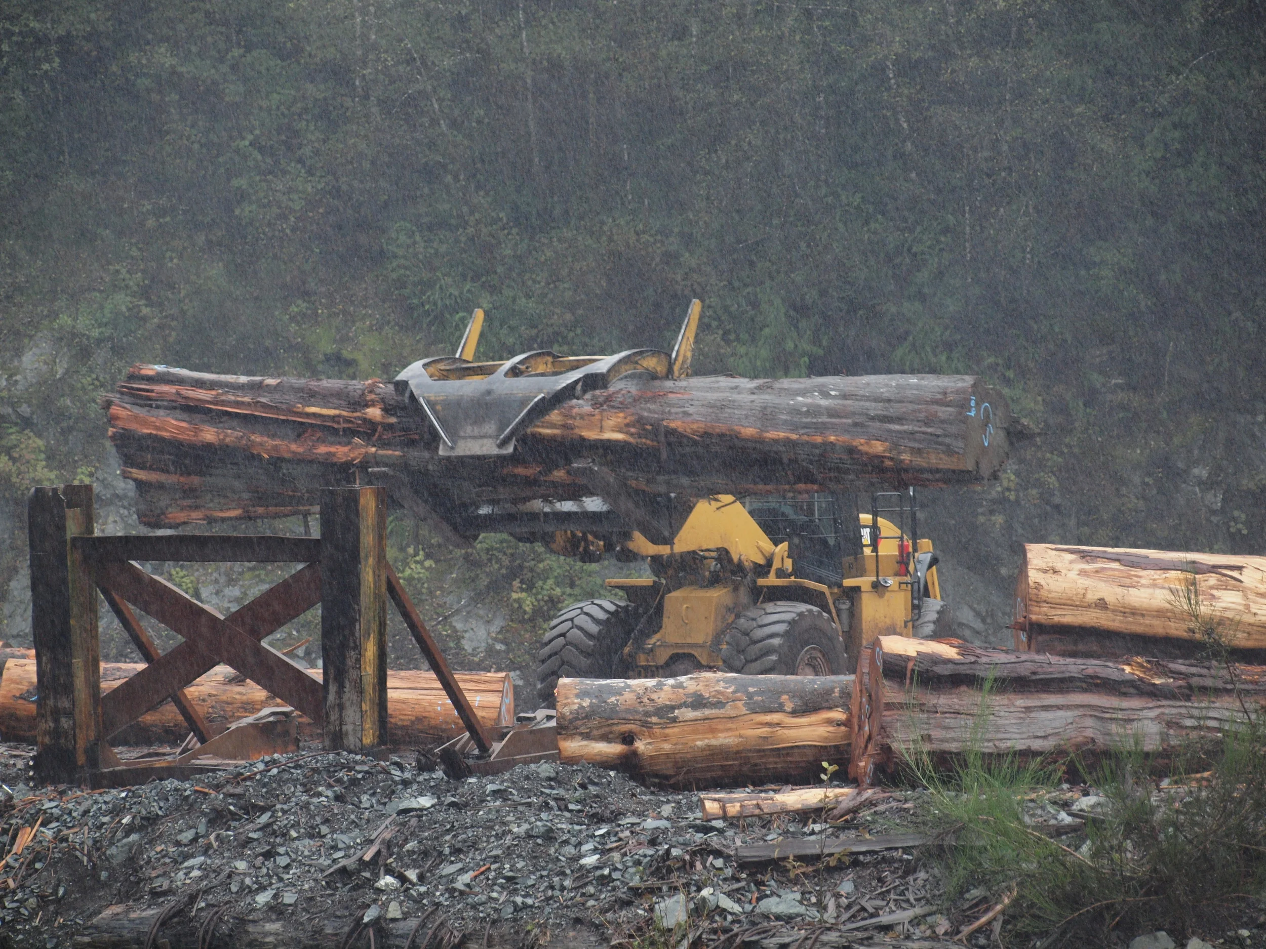 Big wood