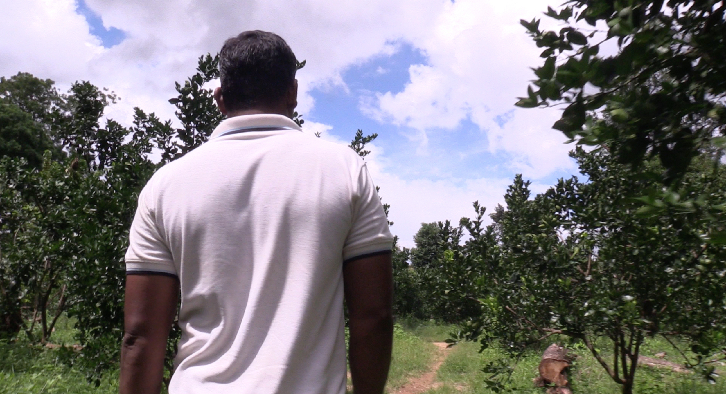 His orange grove