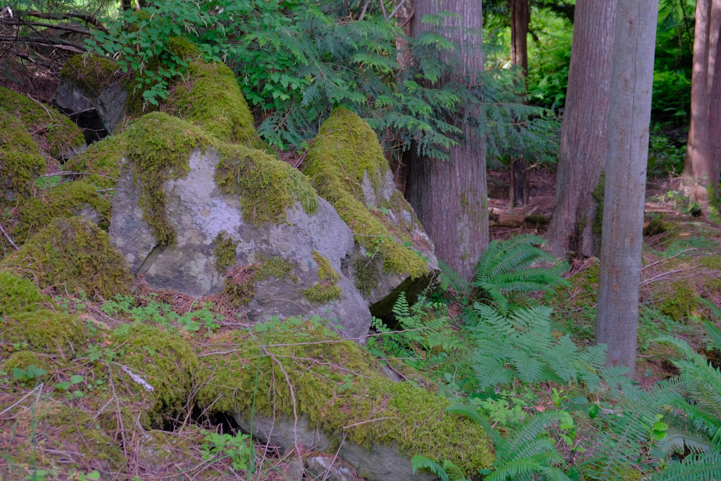 DSCF2885.jpg