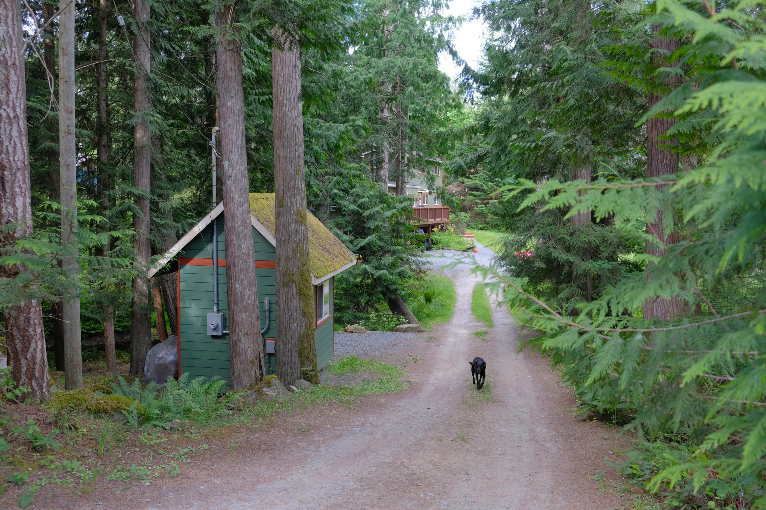 DSCF2881.jpg
