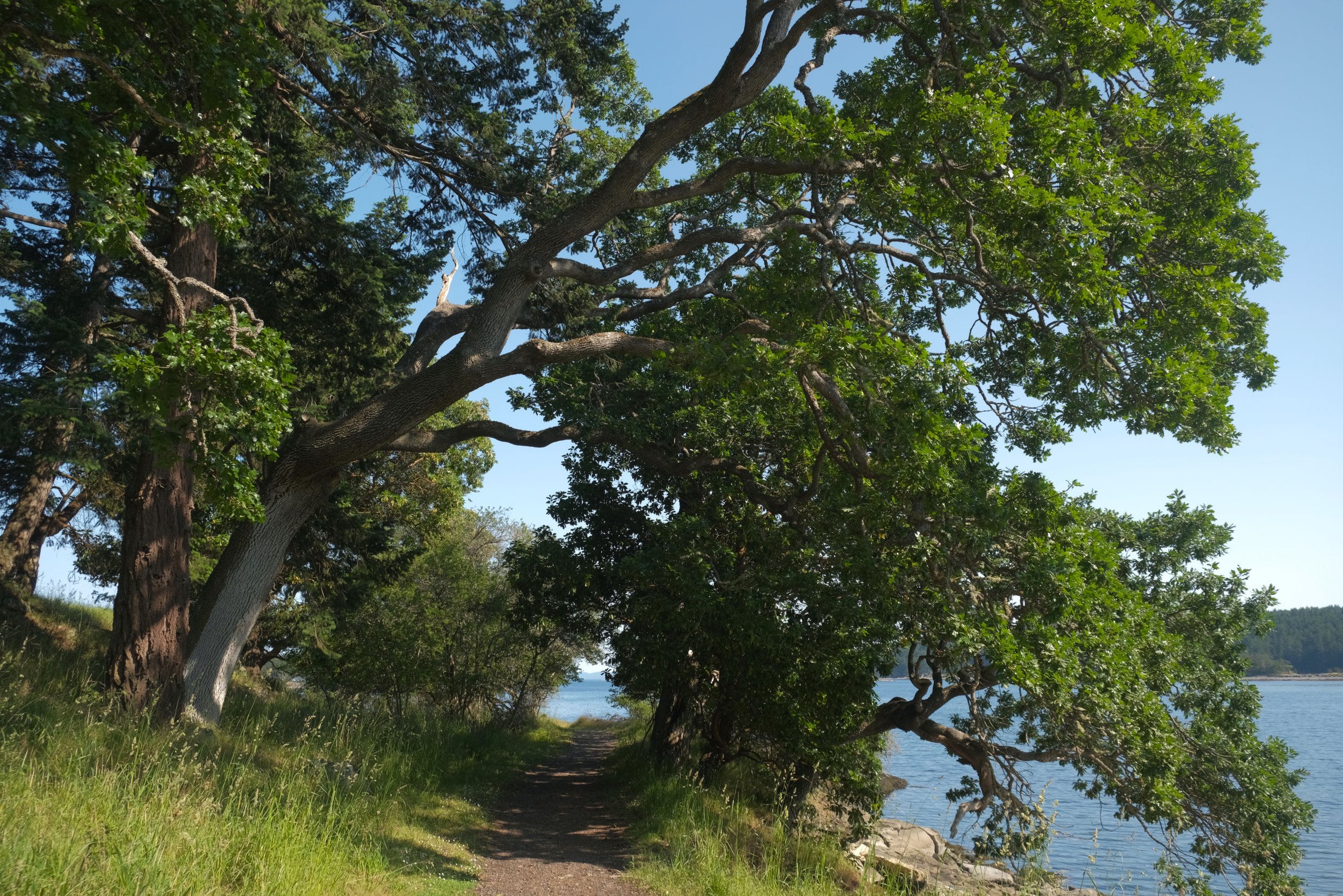 DSCF2532.jpg