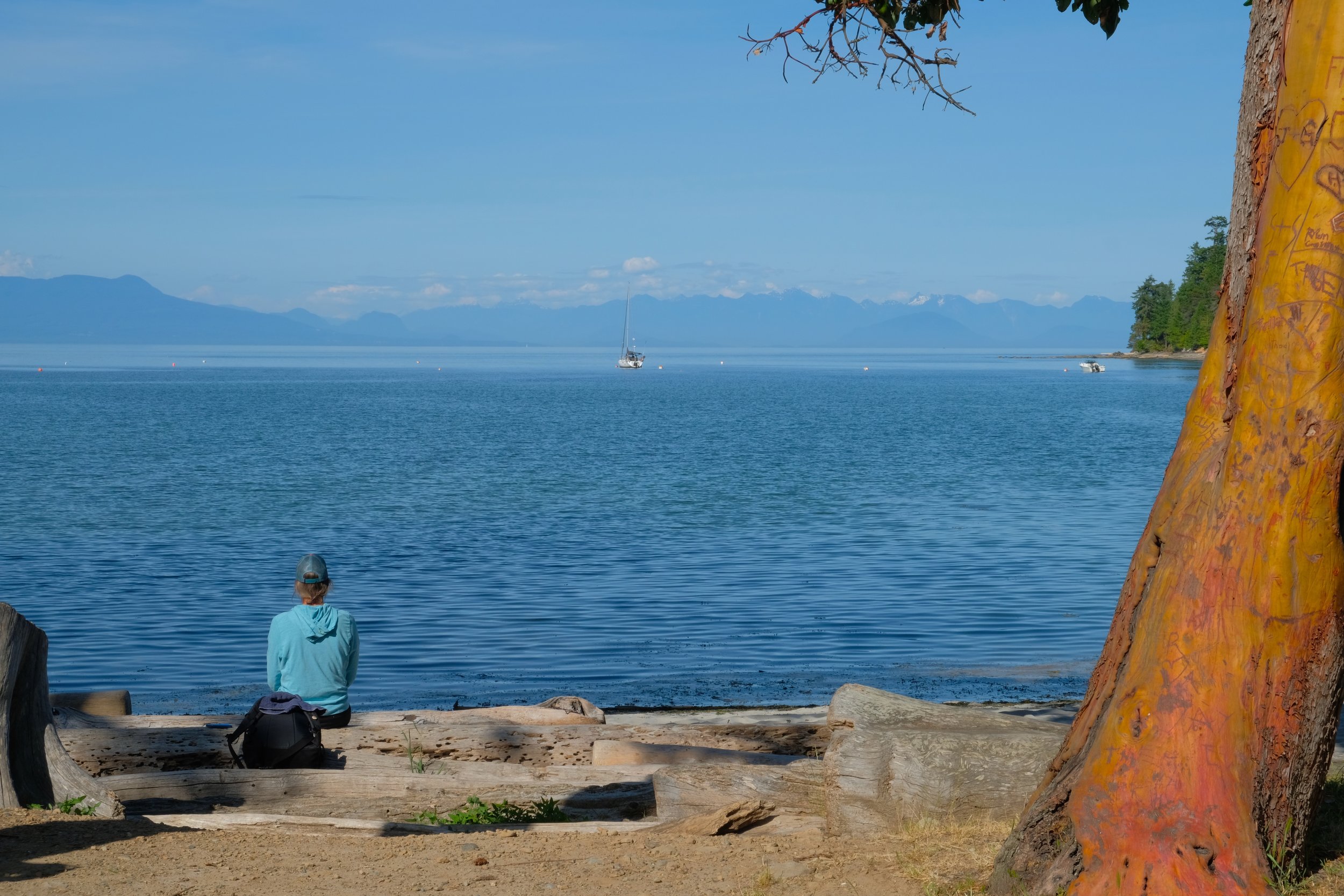 DSCF2731.jpg