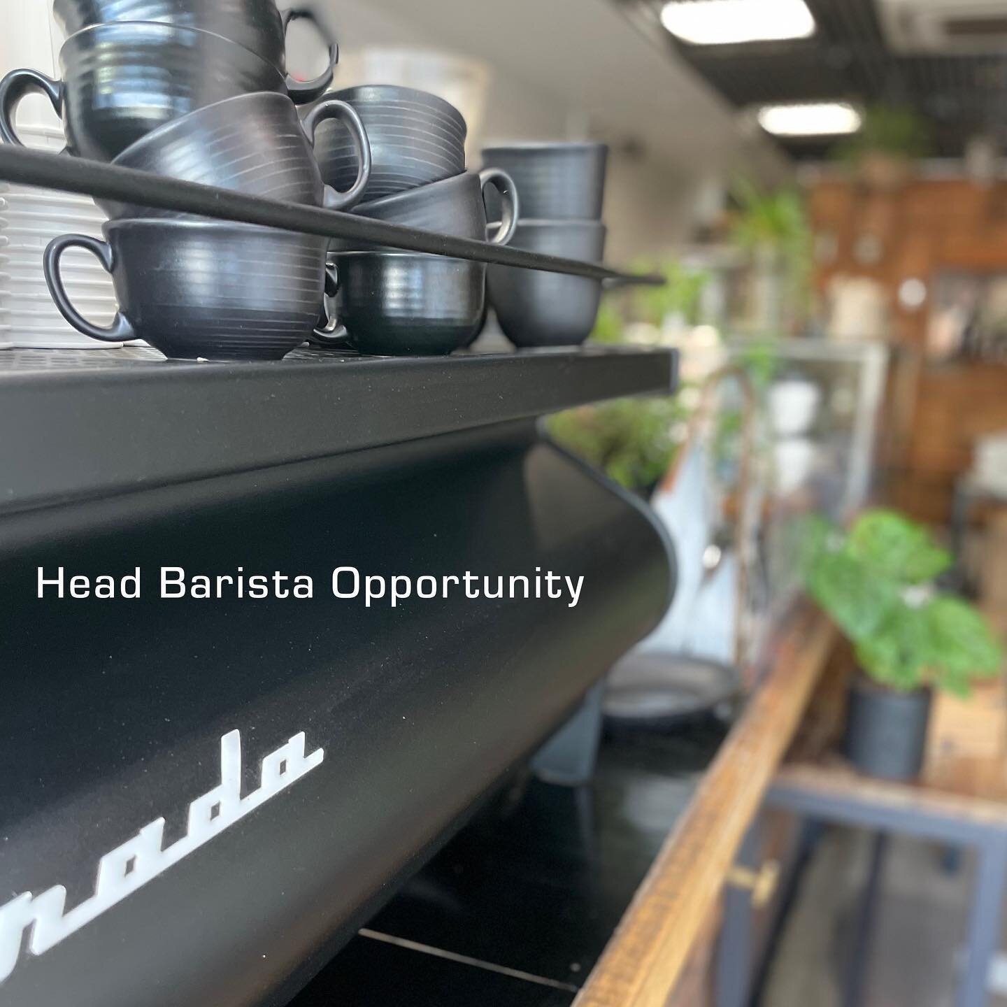 Here&rsquo;s your chance! We&rsquo;re looking for a passionate, highly skilled barista to take over the reigns at store. Share your craft in an environment where your skill and dedication will be supported and appreciated. Email a cover note and resu