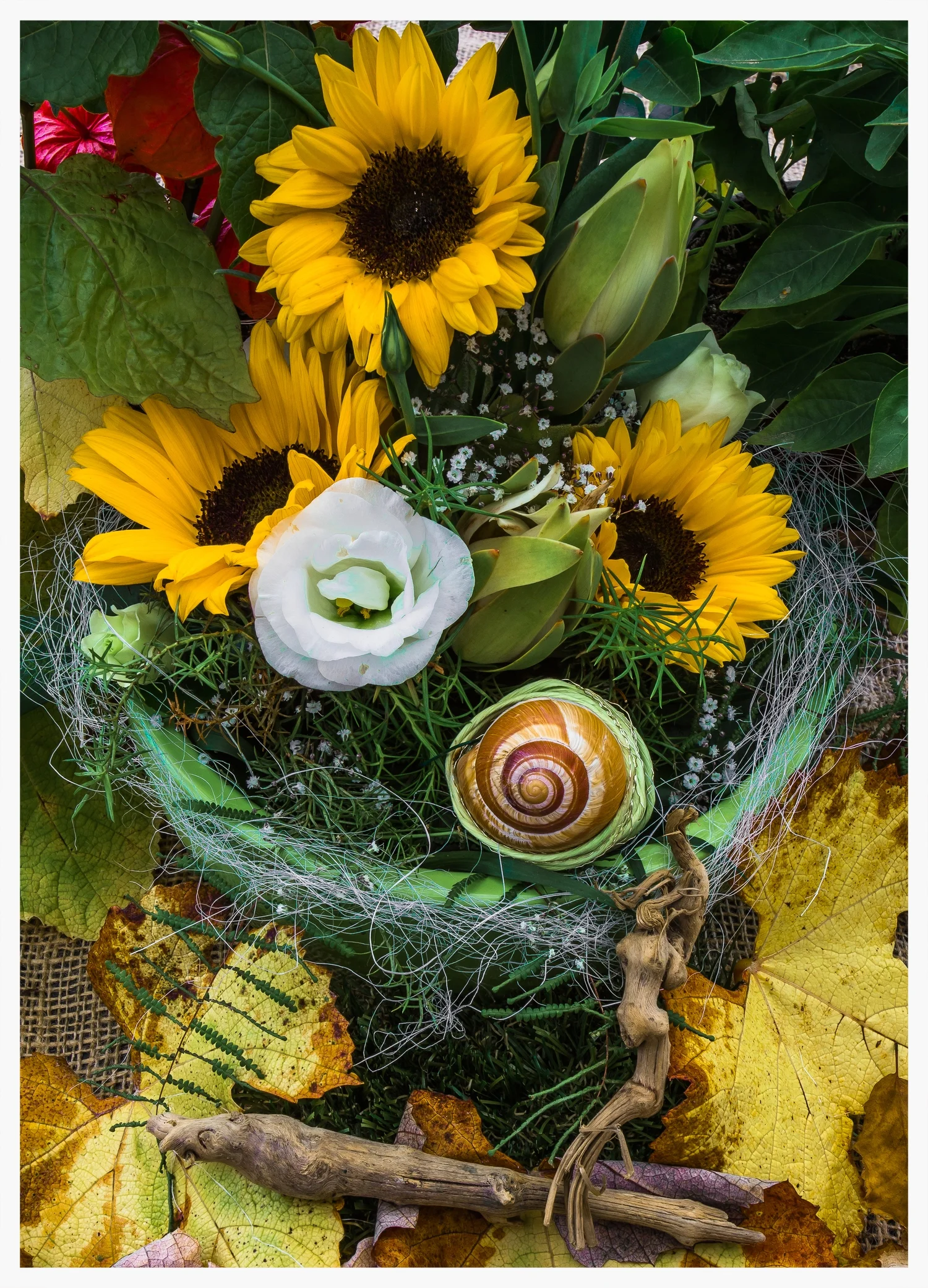 Herbstblume 2 jpg.jpg