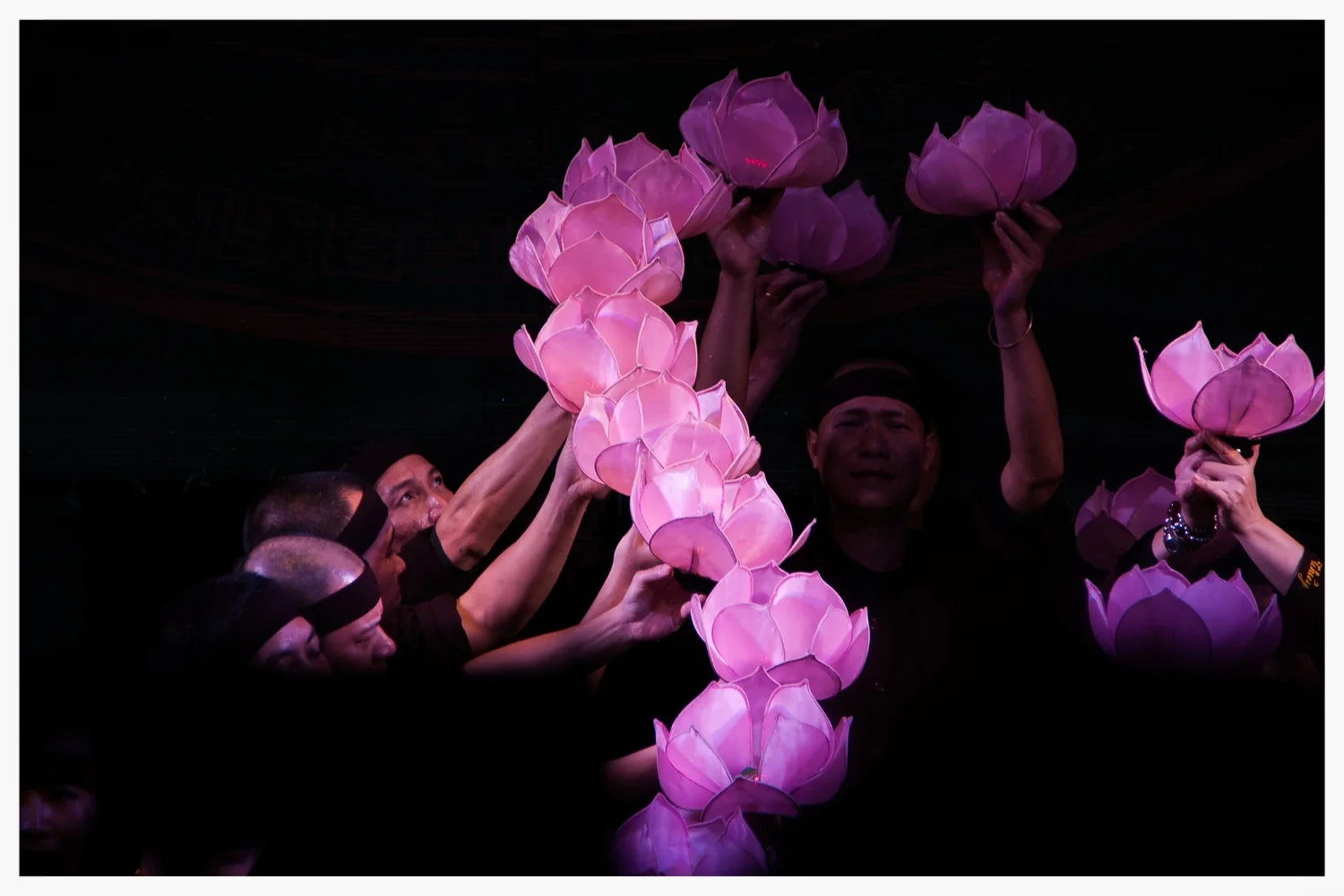 Lotusblumen.jpg
