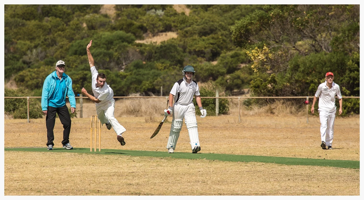 Cricket.jpg