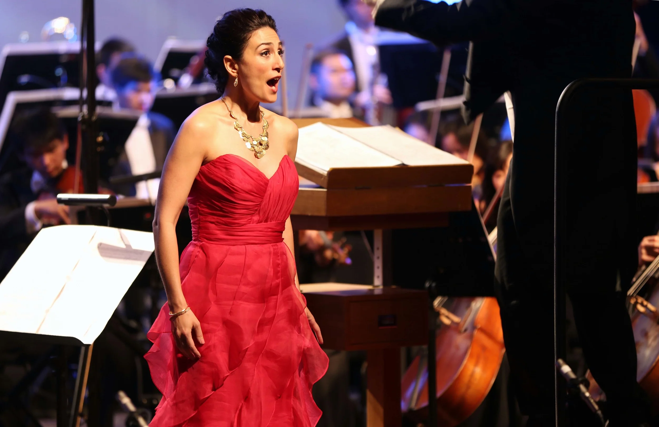MongiardoConcertGown.jpg