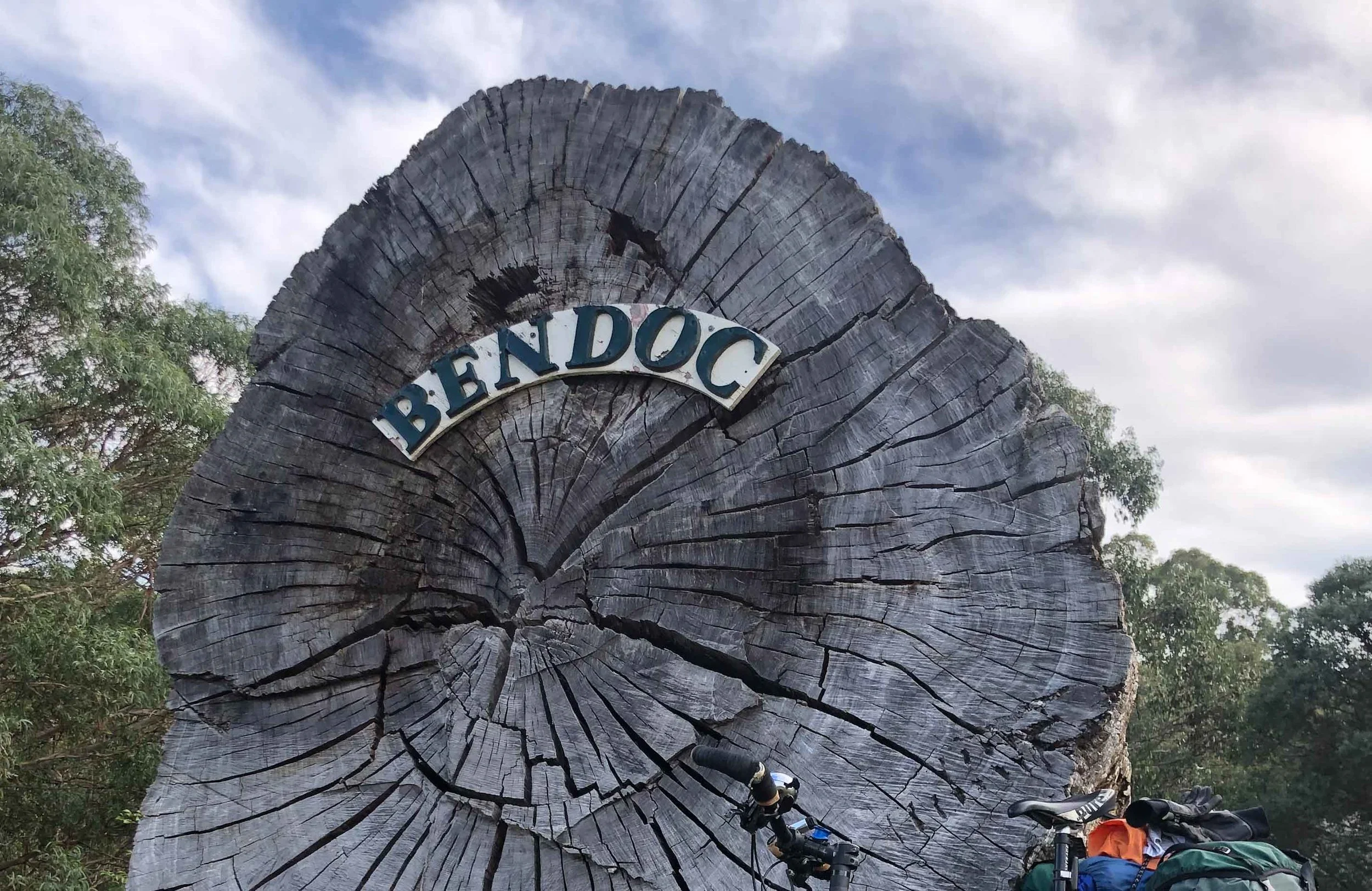 Remnant from a 92m daddy from the good ol’ logging days.