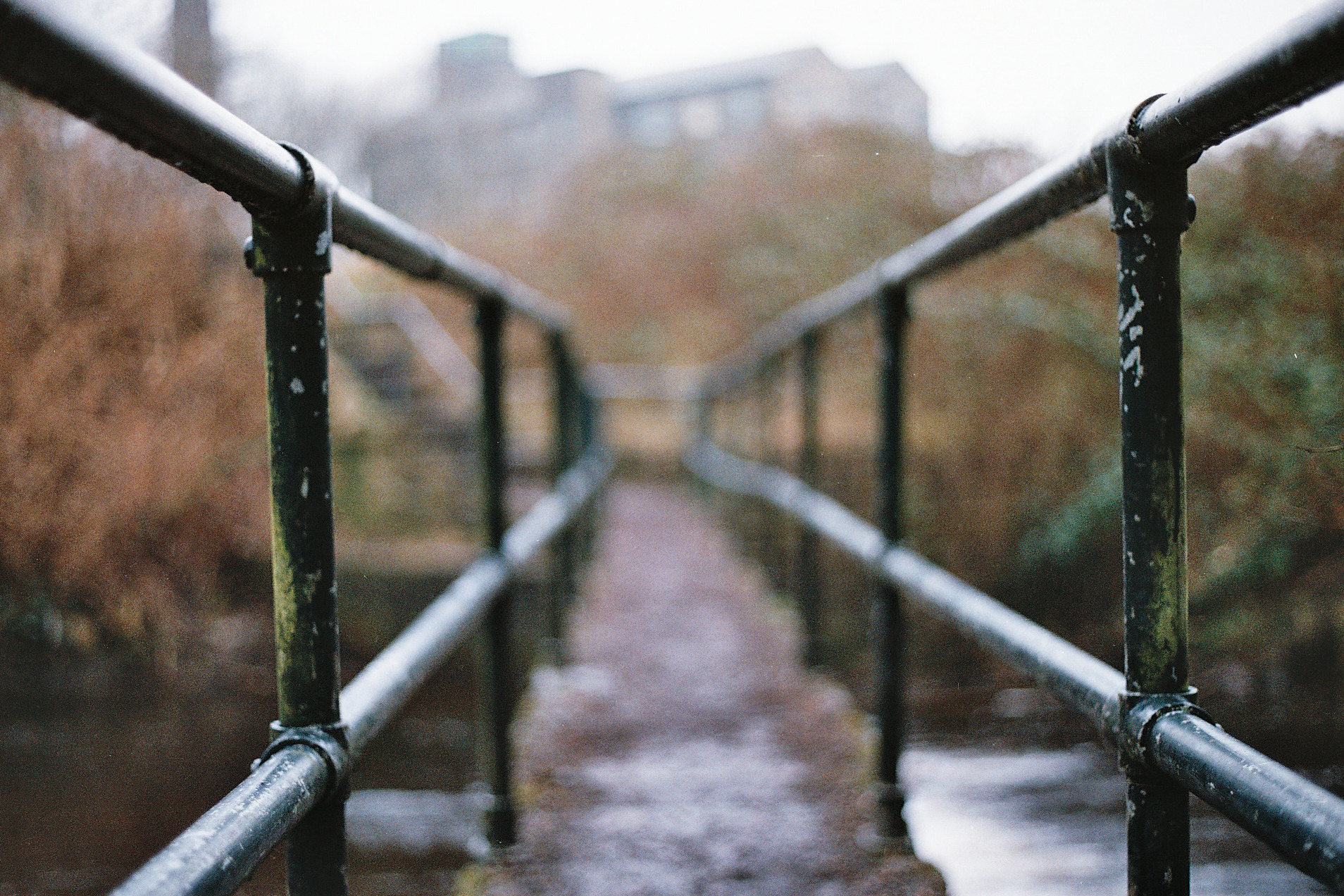 leading lines.....shot using a Zuiko 50mm 1.8 lens on Fujifilm Superia Xtra 400