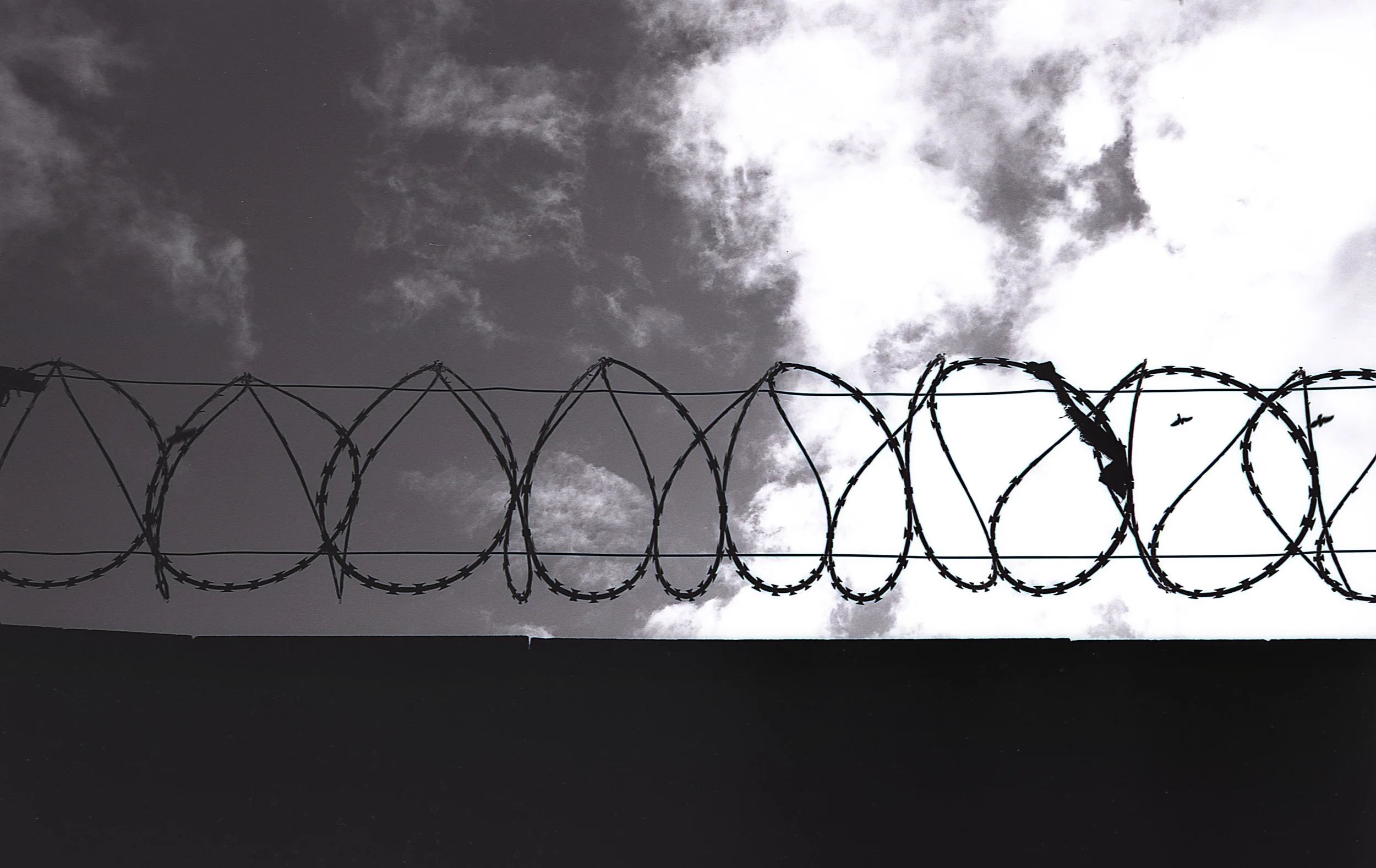 love this shot - I want to call it "free as a bird" or "bird in a wire" or something like arty that.....tbh i think it could have used with a bit of extra time in the developer to bring the shadows up further... this had 45 mins in the developer....oh well! always learning.... .