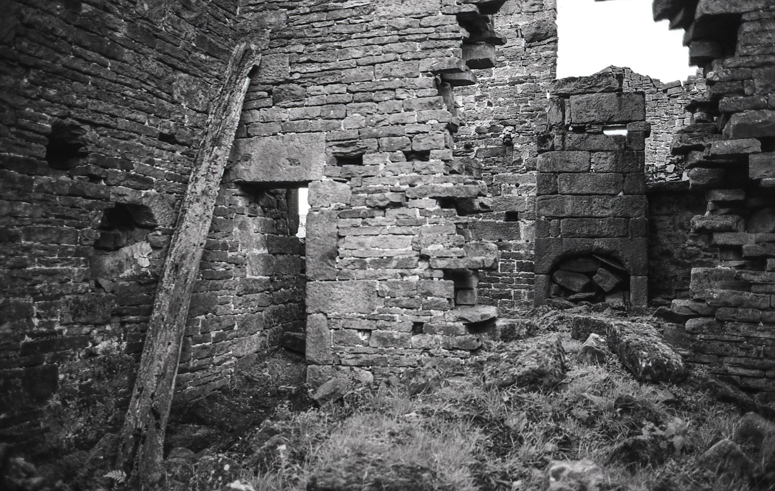 img335.jpg