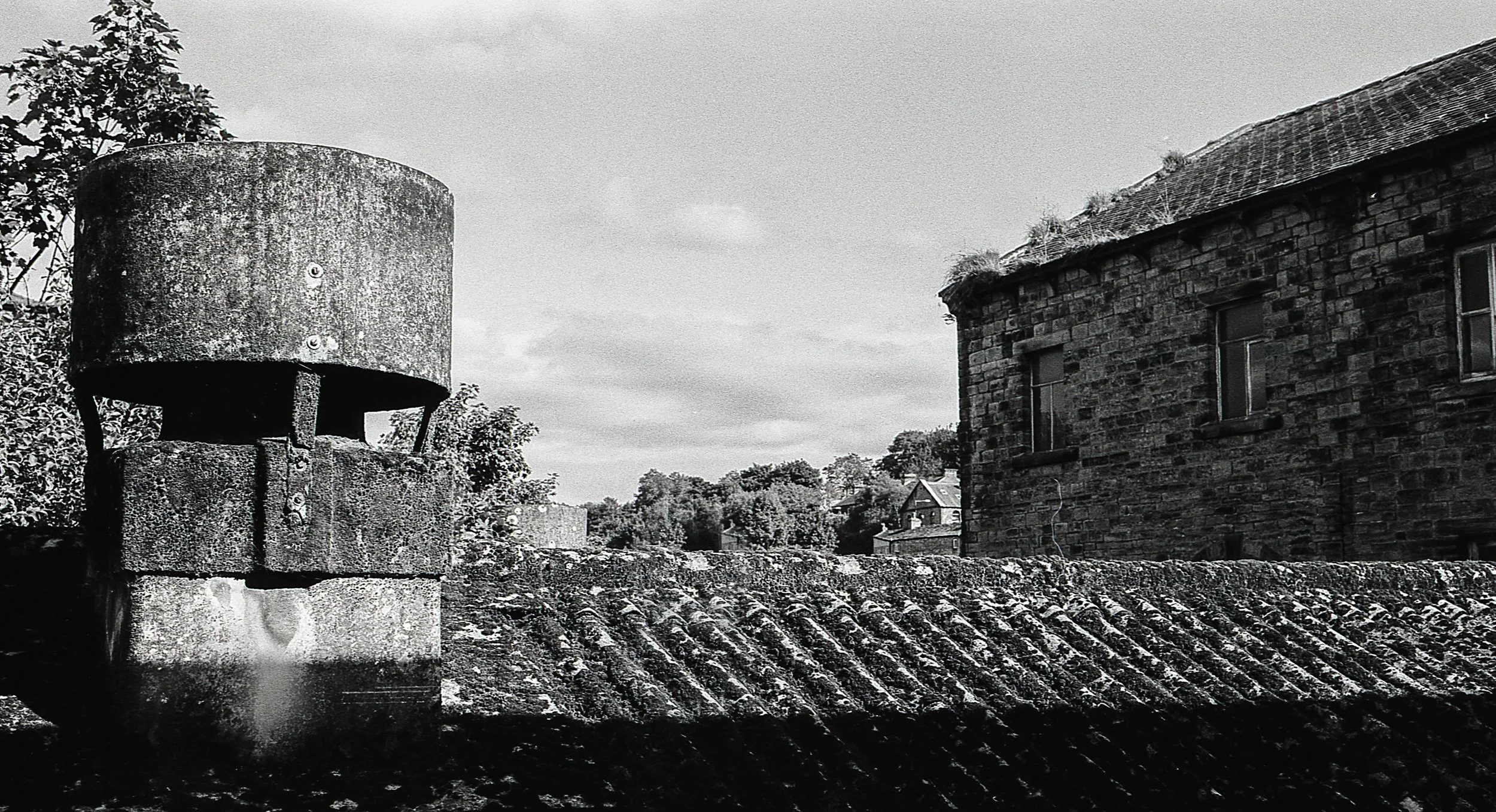 img280.jpg
