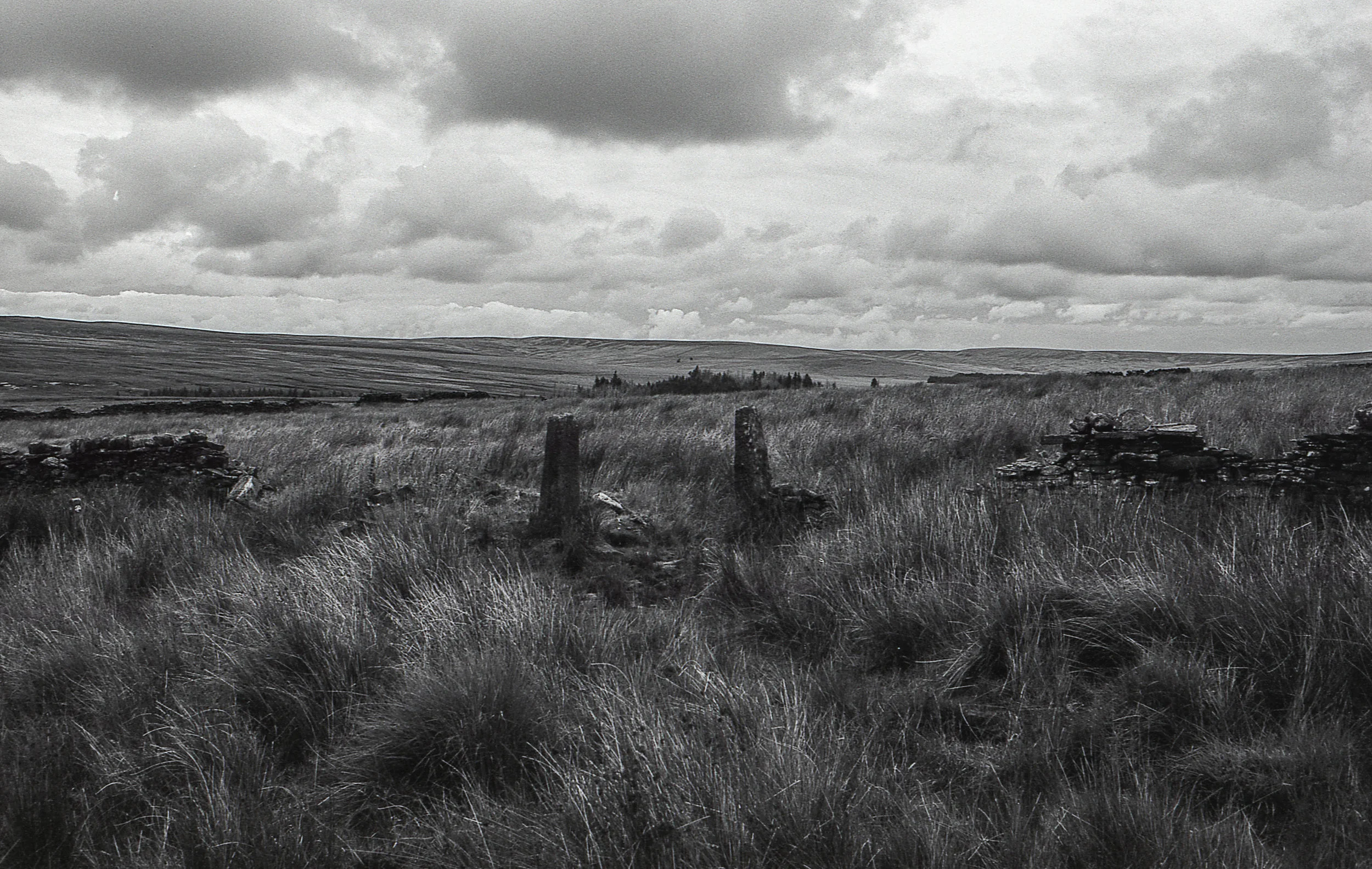 img342.jpg