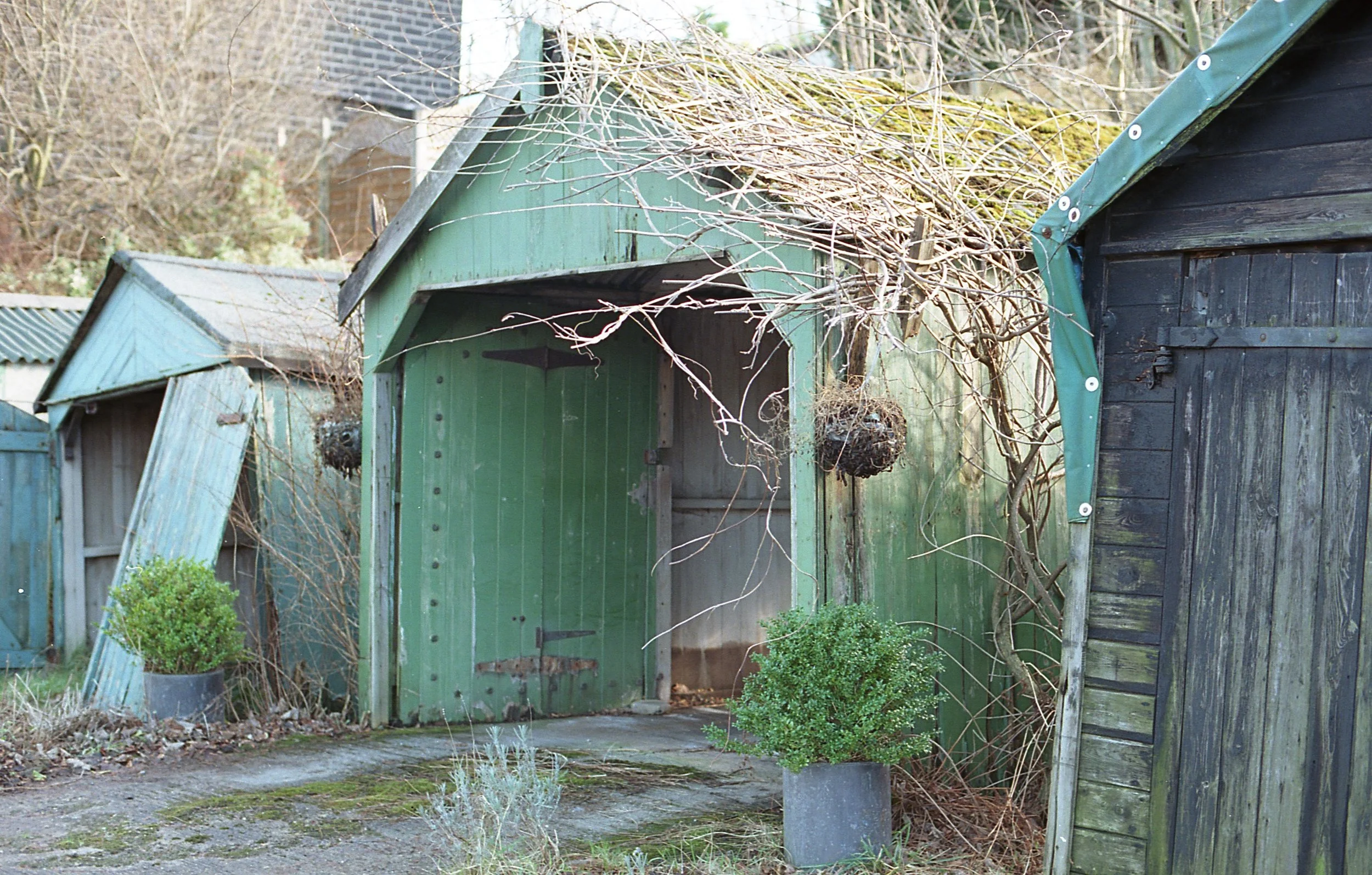 img451.jpg