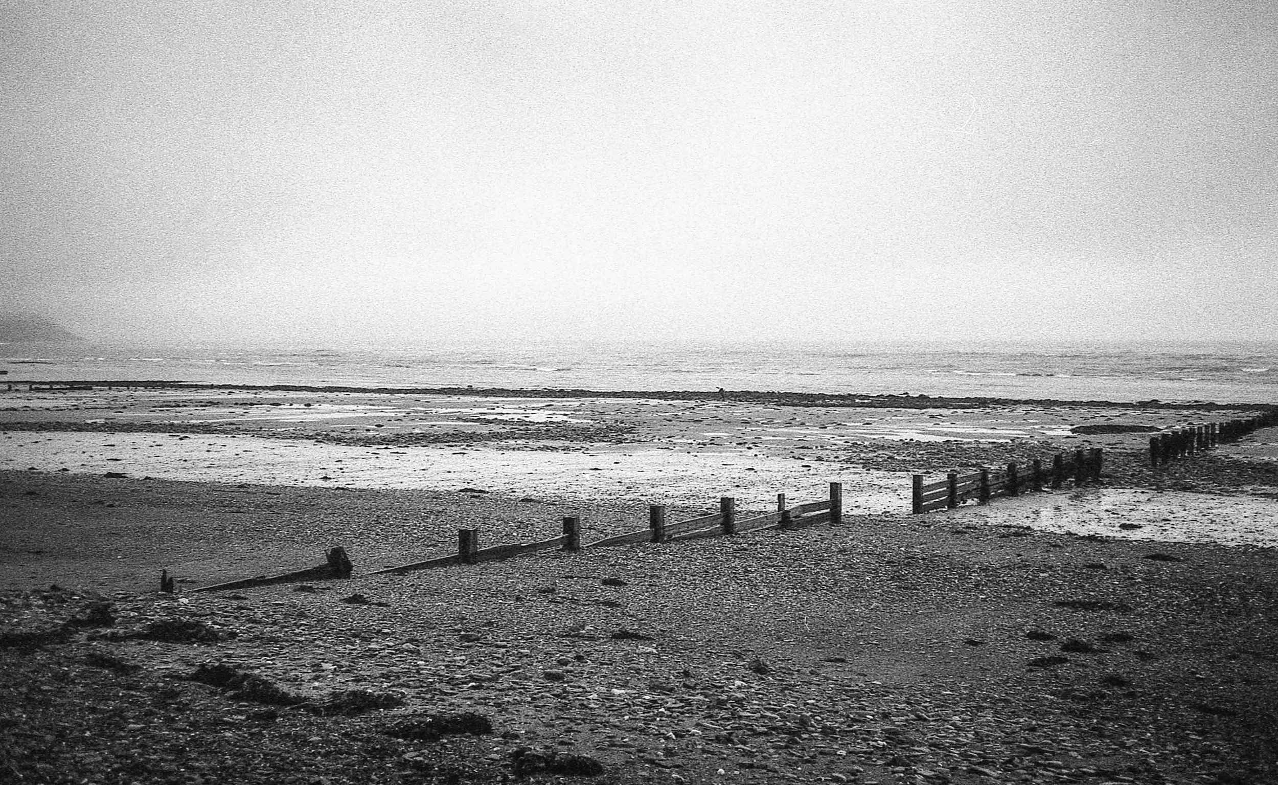 img814.jpg