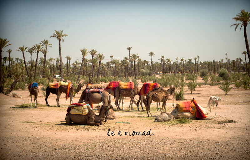 Marrakesh is magic: and a tale of #tribalchic living