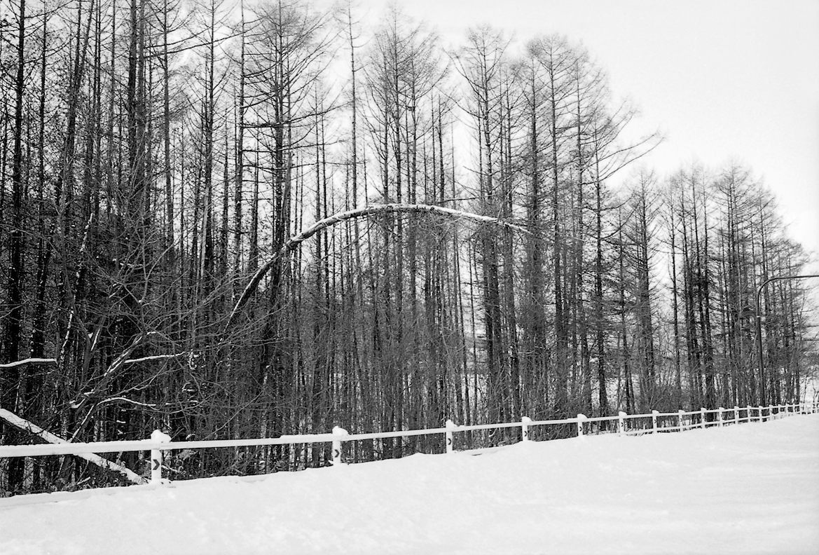 Untitled  Hokkaido  2013