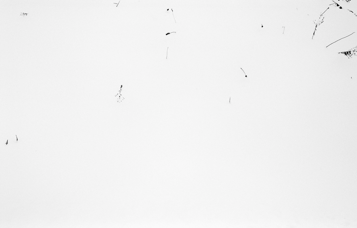 Untitled  Hokkaido  2013