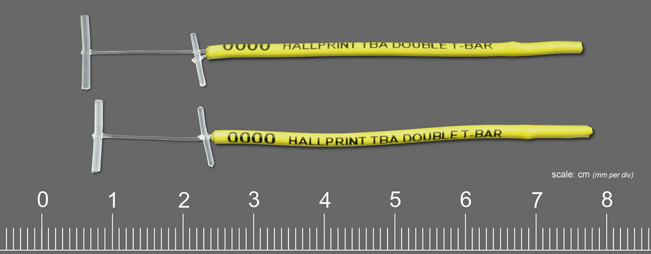 Figure F5. Insertion point for T-bar tag needle when tagging shovelnose