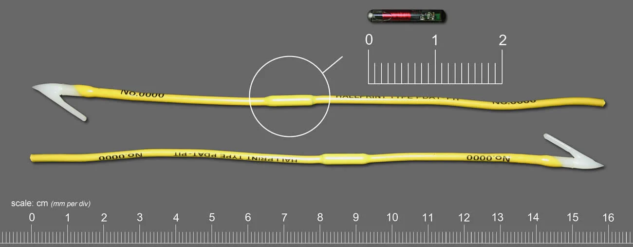 External RFID PIT Tags