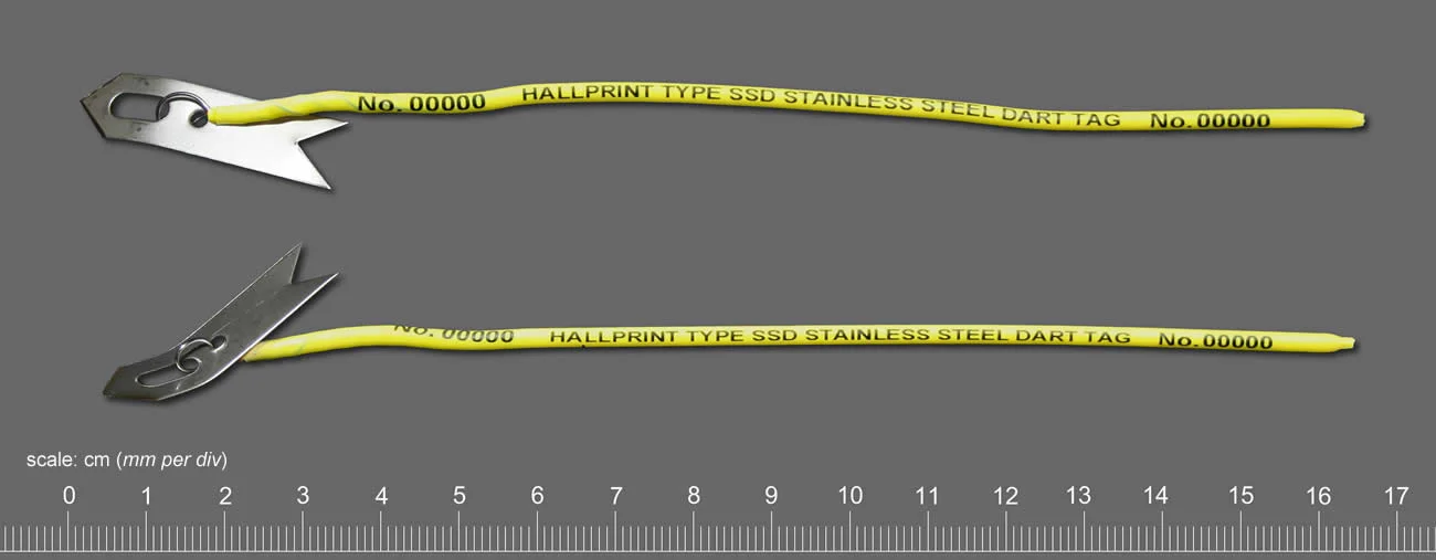 Stainless Steel Dart Tags