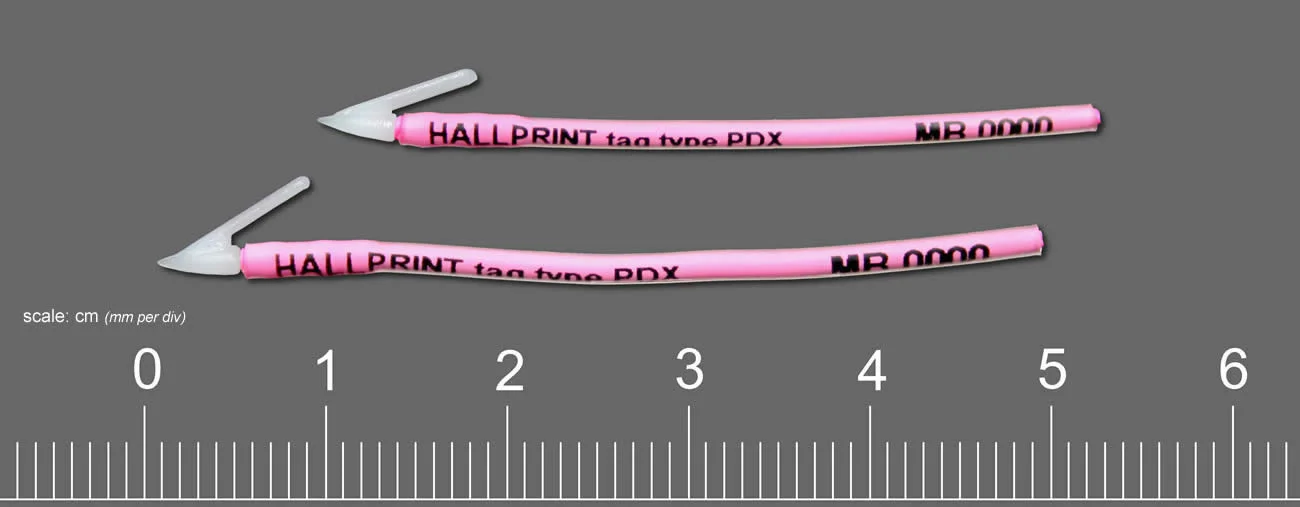 Plastic Tipped Dart Tags