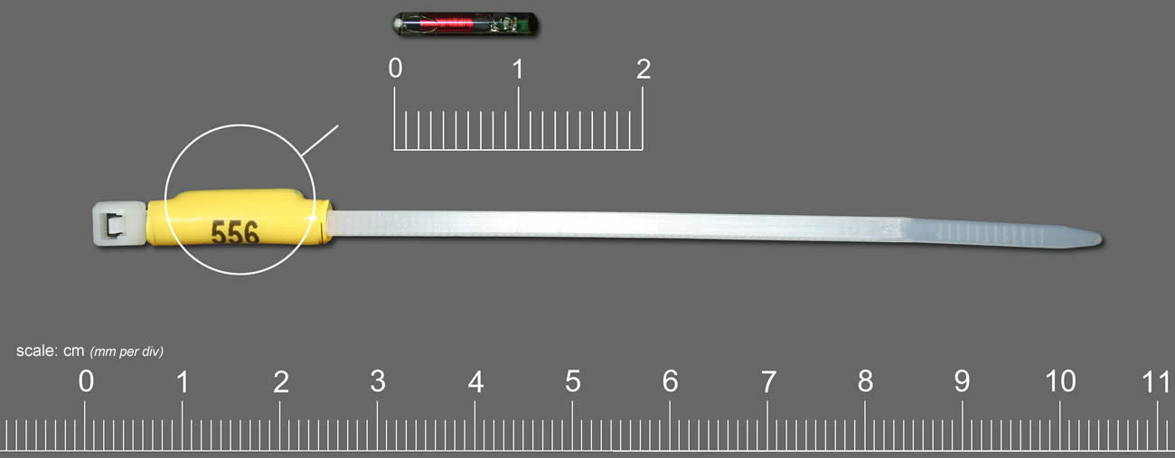 Removable PIT modules have been used successfully on cable tie type tags for tank studies on crabs.