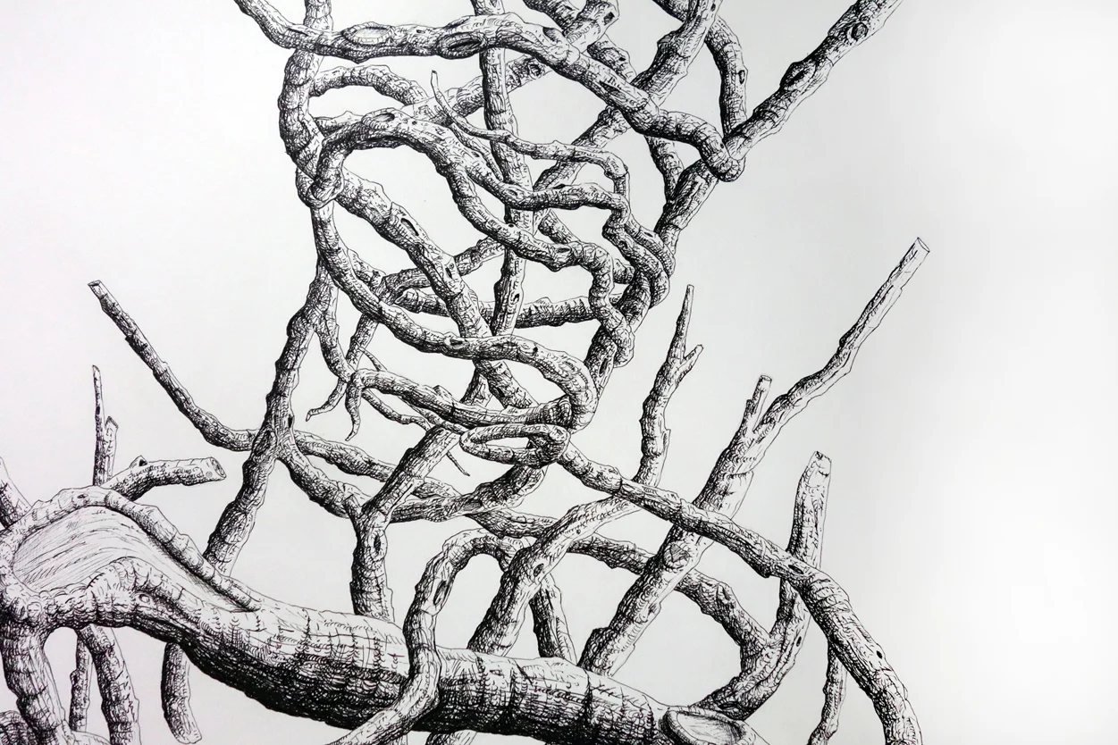 imposed identity detail small.jpg