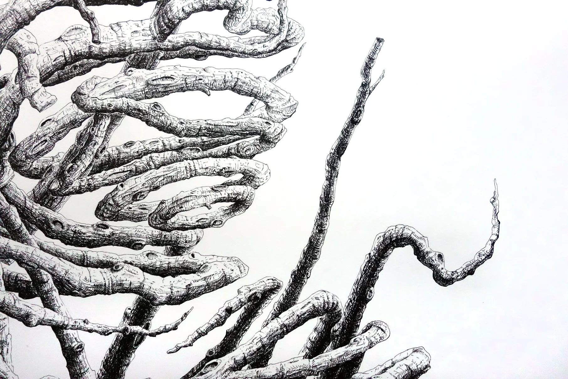 portrayal of self detail small.jpg