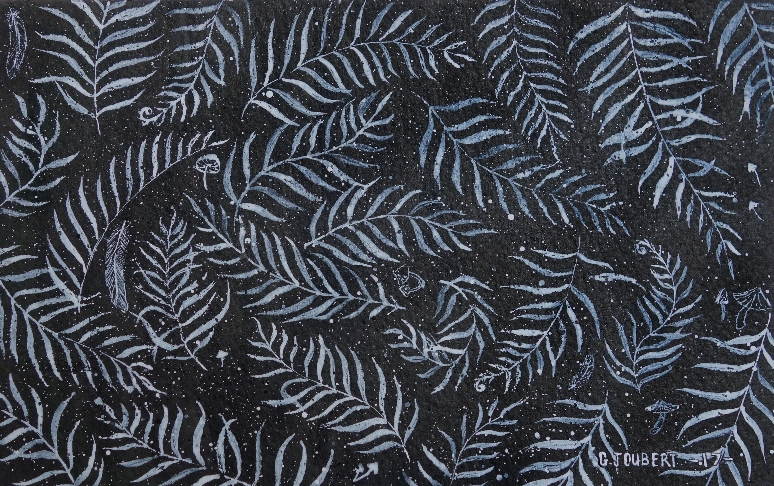 Seedling 20.jpg