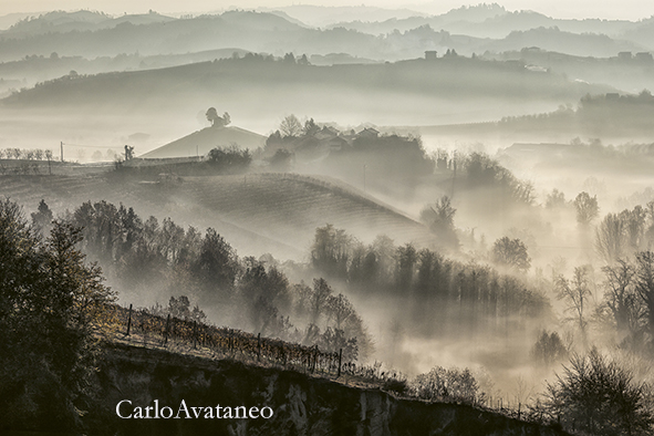 le colline del Roero.jpg