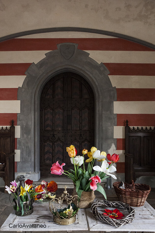 Fioritura nel parco di Messer Tulipano