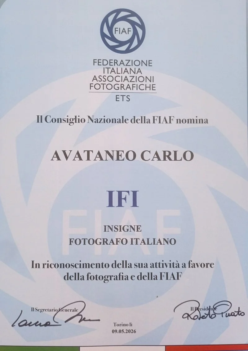 IFI_pergamena.jpg