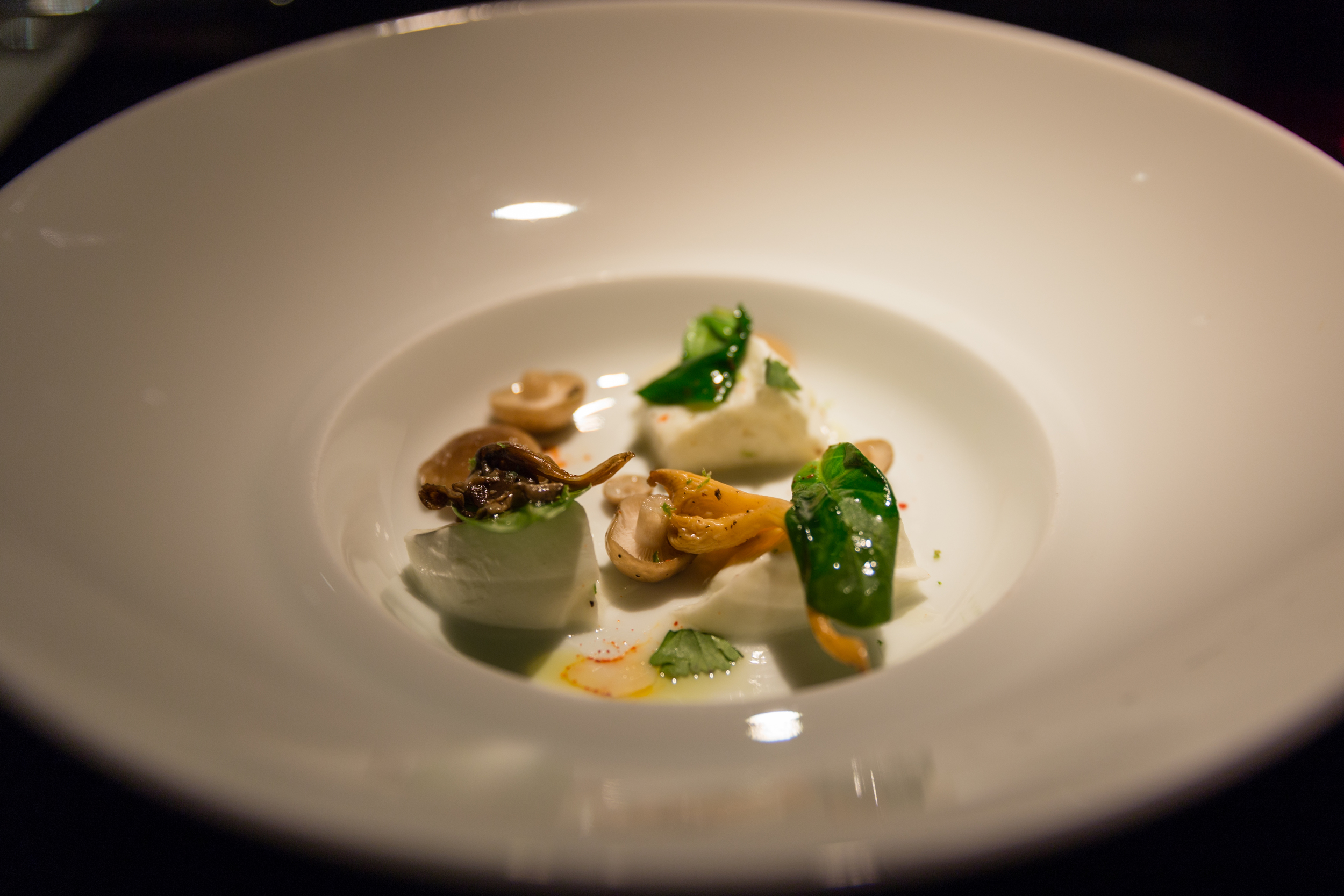 Le Homard du Maine - Lobster in coconut bouillon and fresh coriander