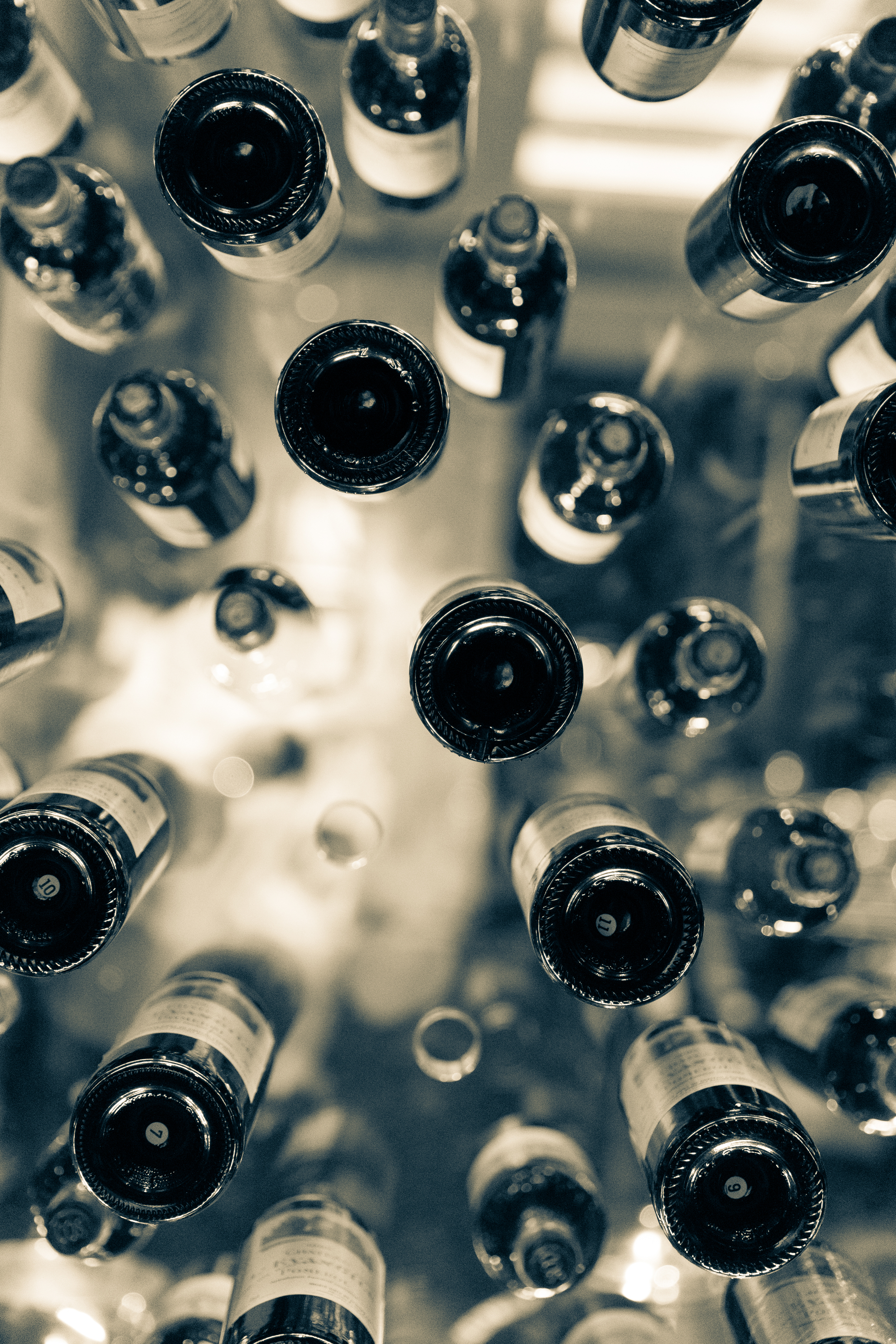 Floating wine cellar