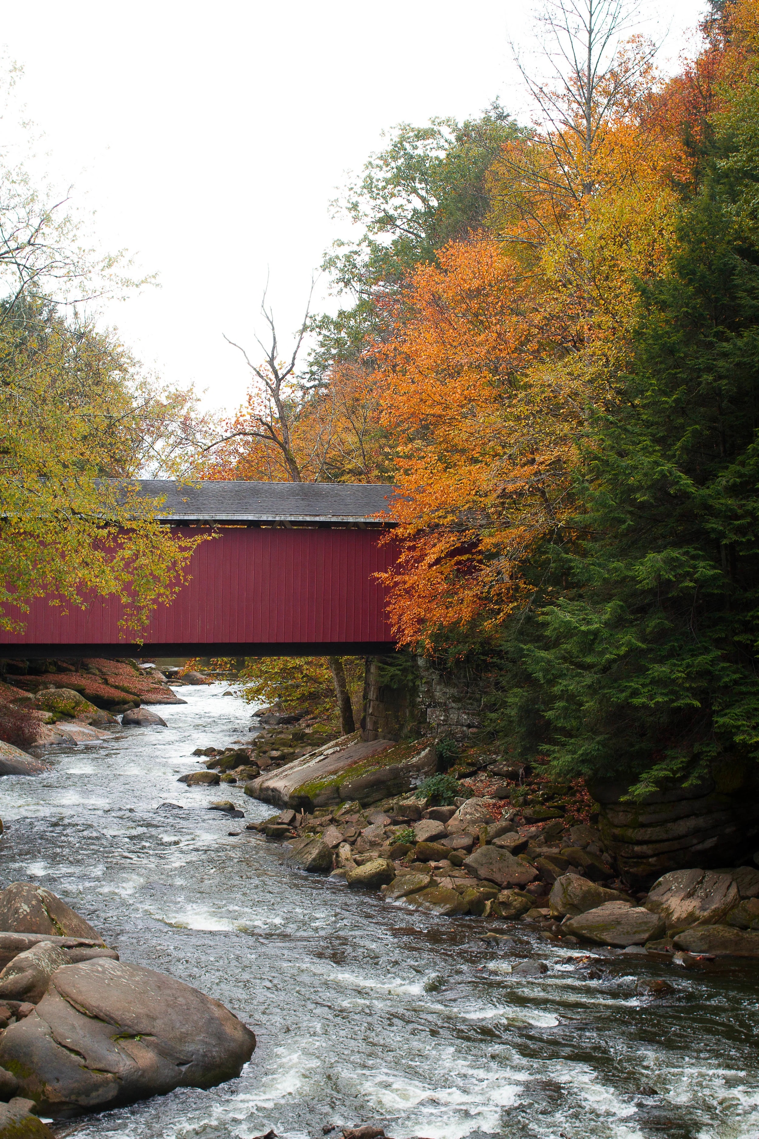 Exploring McConnells Mill State Park