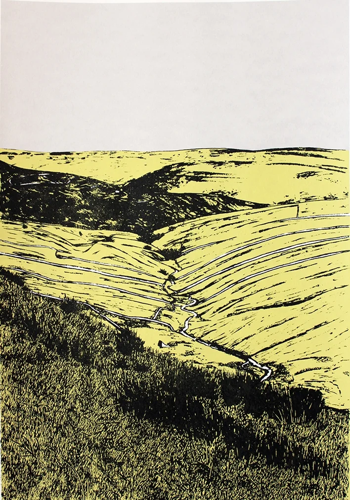 On Buttertubs Pass, Print