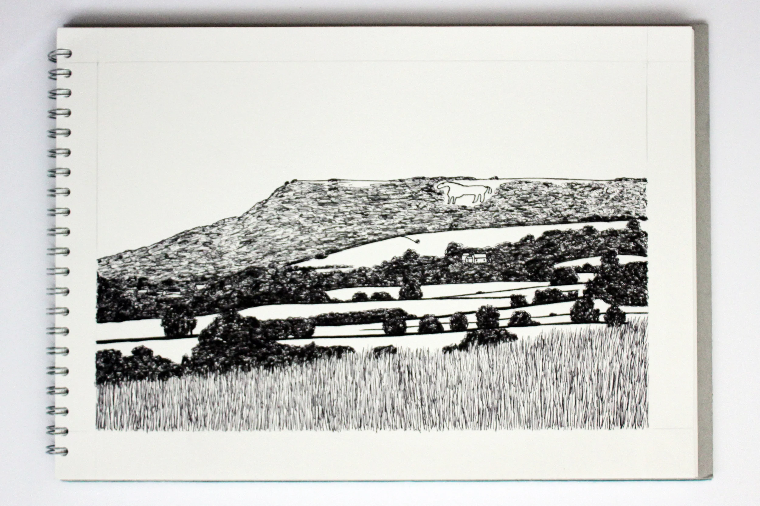 From a drawing