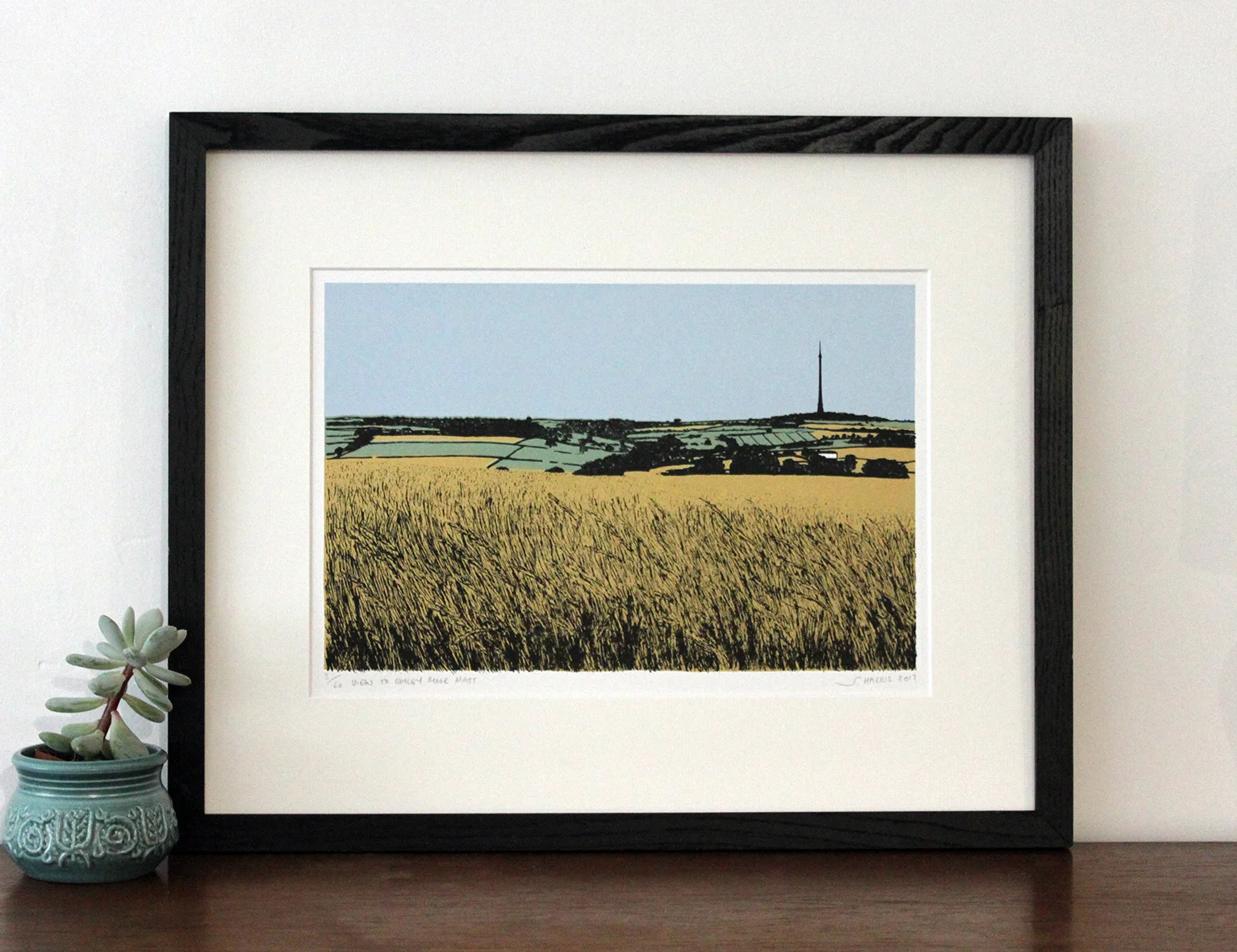 Sarah Harris - View to Emley Moor Mast.jpg