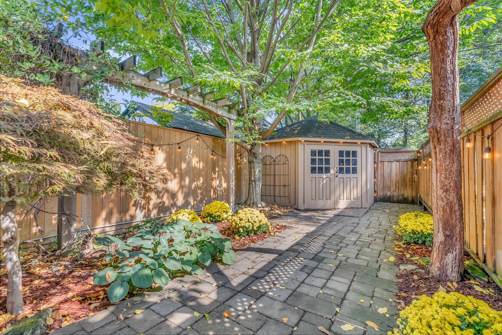 54-web-or-mls-54_backyard-3.jpg