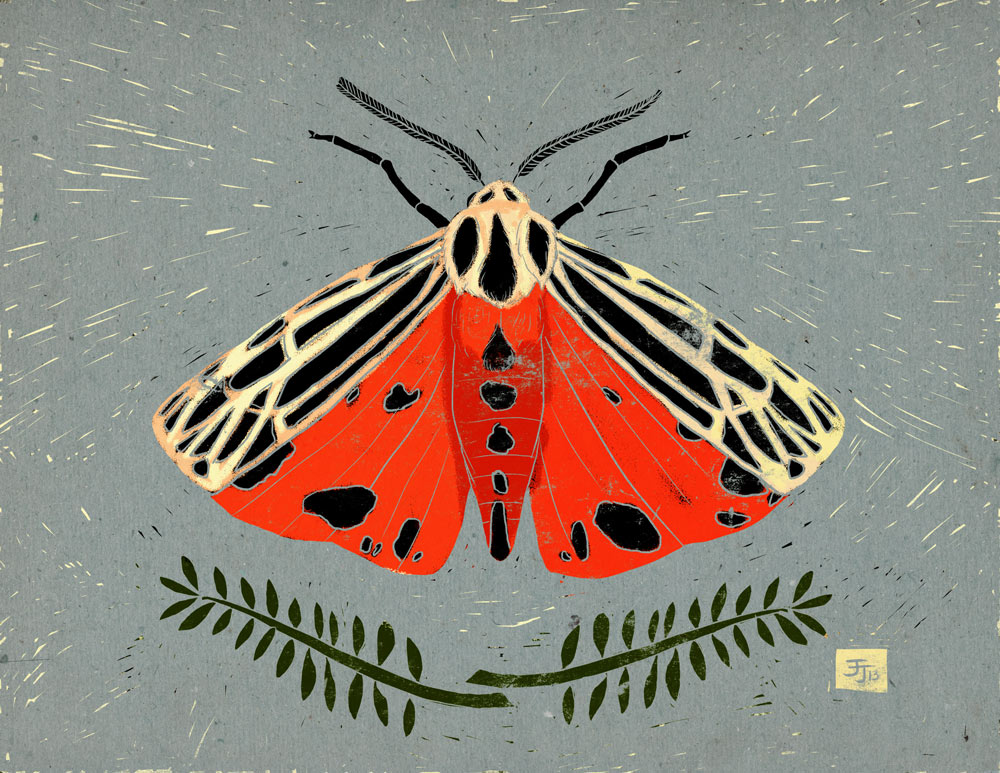 Grammia virgo