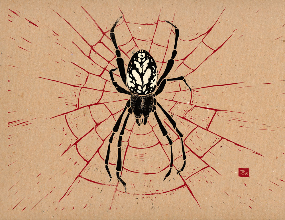 Orbweaver