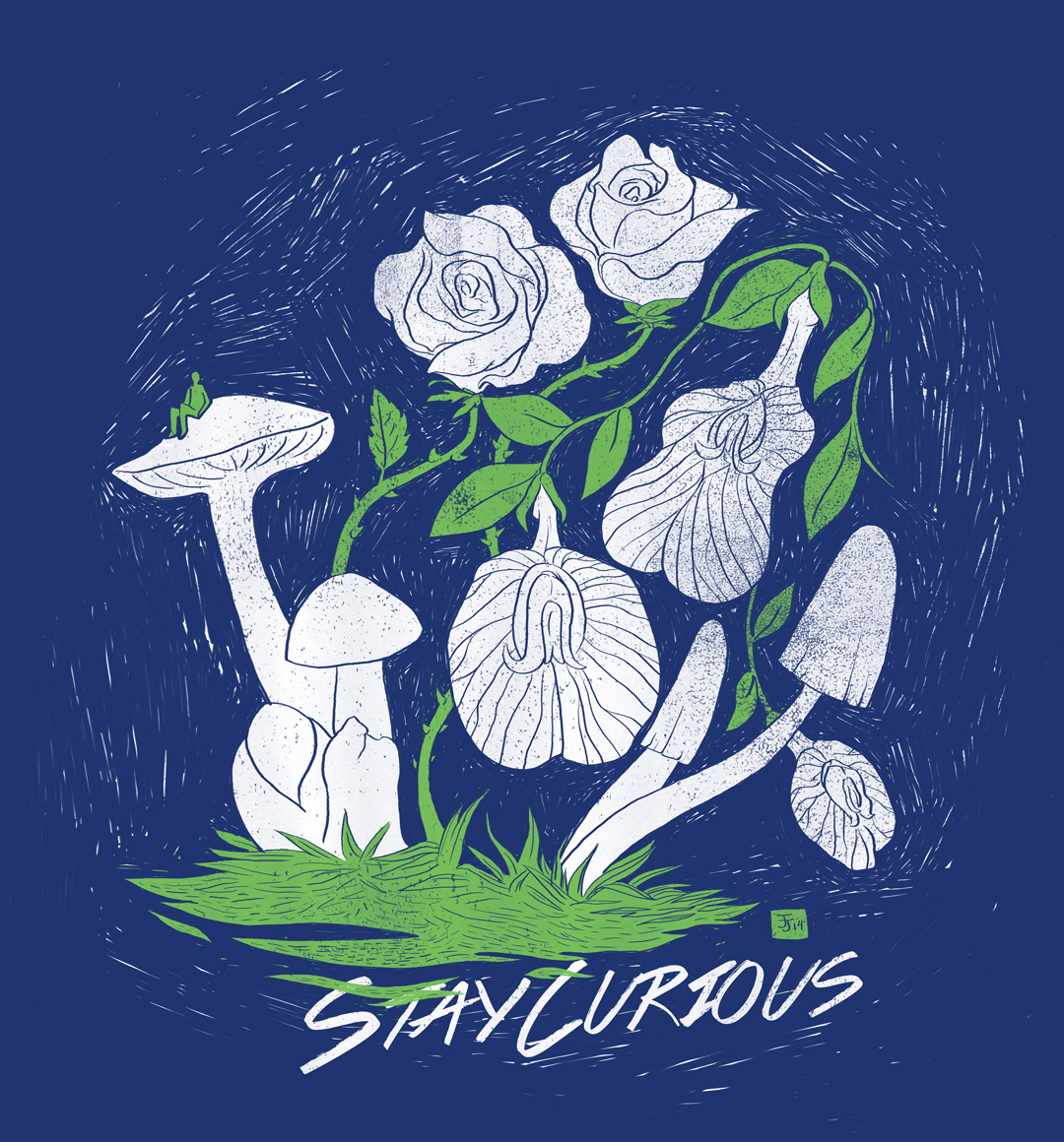 Stay Curious