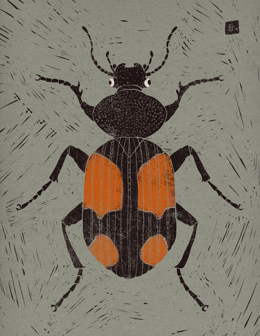 Panagaeus cruxmajor