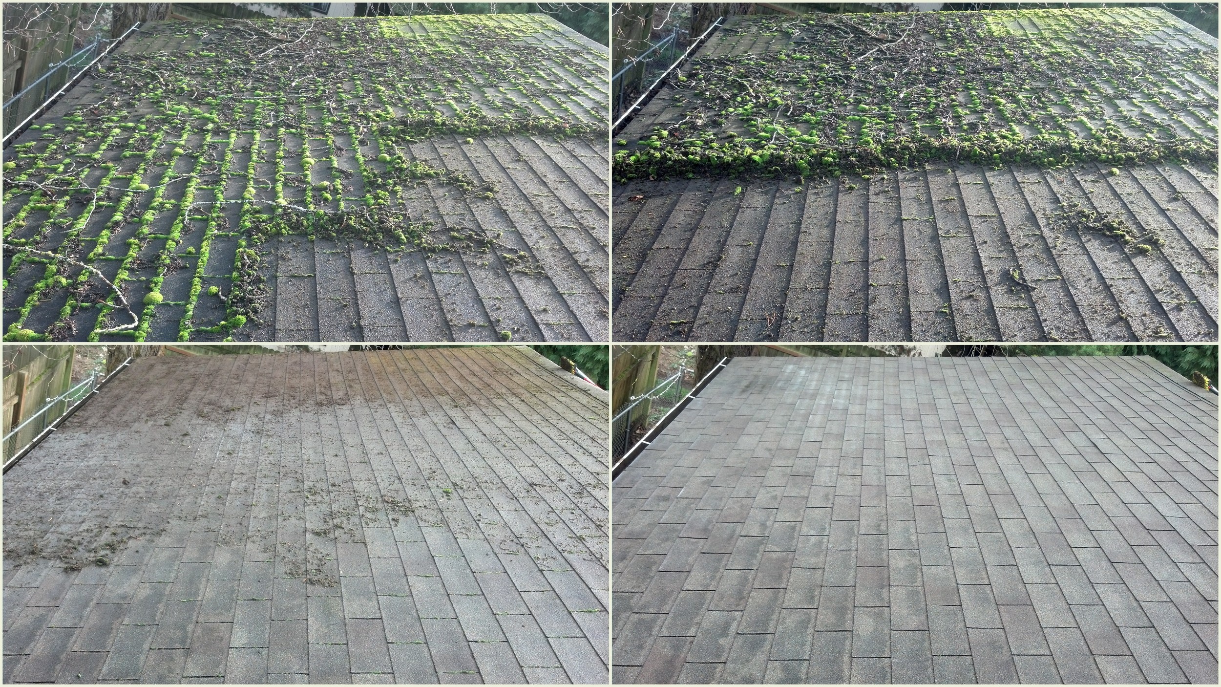 Highest Rated Roof Moss Removal In Seattle